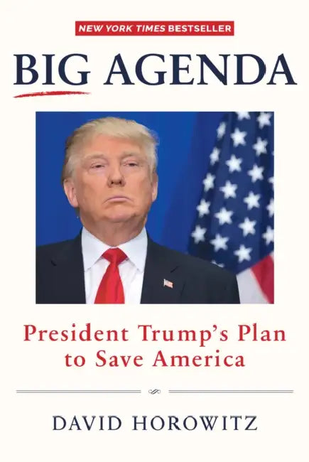 Big Agenda: President Trump's Plan to Save America by David Horowitz