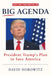 Big Agenda: President Trump's Plan to Save America by David Horowitz