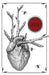 Thirteen: Stories of Transformation by Mark Teppo