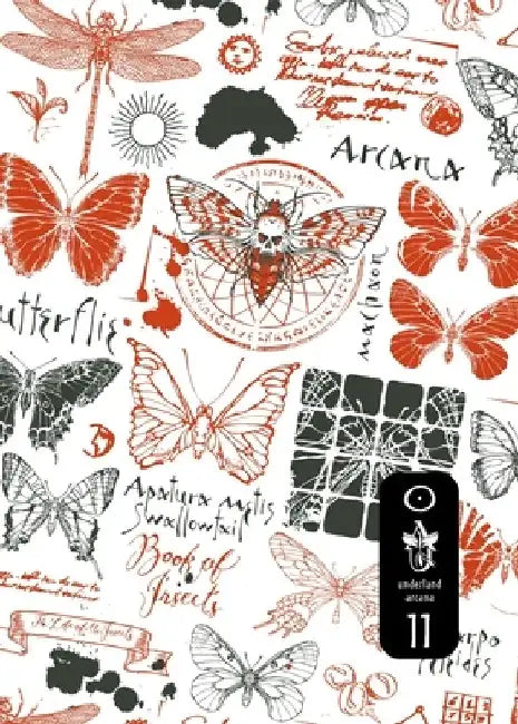 Underland Arcana 11 by Mark Teppo