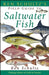 Ken Schultz's Field Guide to Saltwater Fish by Ken Schultz