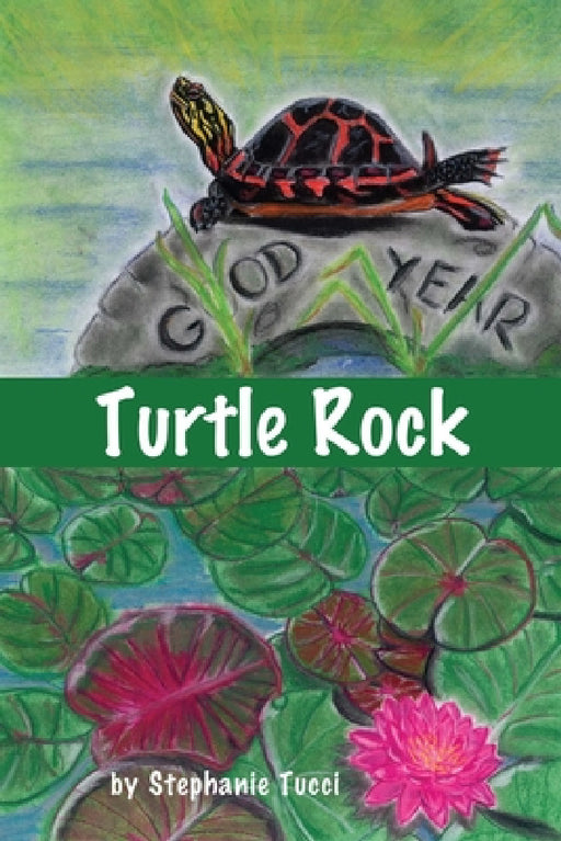 Turtle Rock by Stephanie Tucci