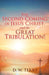 The Second Coming Of Jesus Christ, and the Great Tribulation! by D. W. Terry