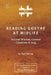 Reading Goethe at Midlife: Ancient Wisdom, German Classicism, and Jung [ZLS Edition] by Paul Bishop