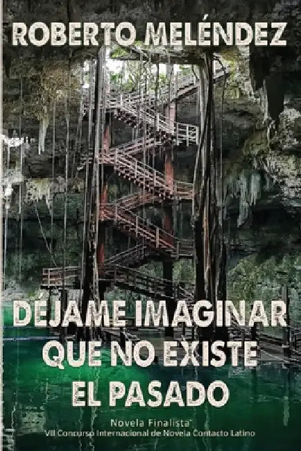 Déjame imaginar que no existe el pasado by Melendez, Roberto