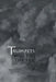 Trumpets will fill the sky by R. a. McColley