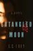 Entangled Moon by E. C. Frey