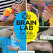 Brain Lab for Kids: 52 Mind-Blowing Experiments, Models, and Activities to Explore Neuroscience by Eric H. Chudler