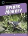 Spider Monkey by Susan H. Gray