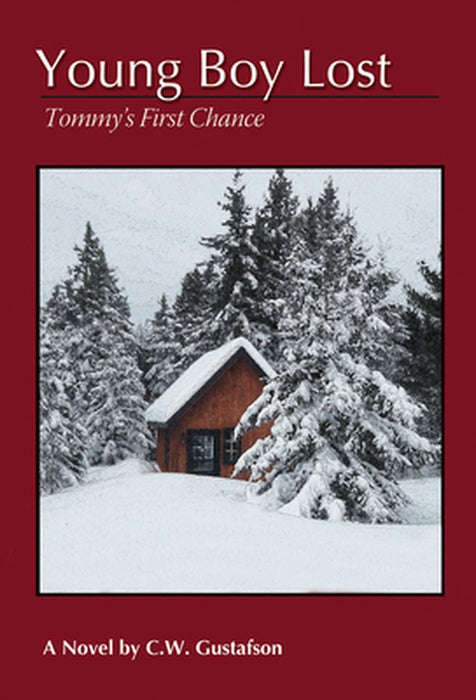 Young Boy Lost: Tommy's First Chance by Clendon Gustafson