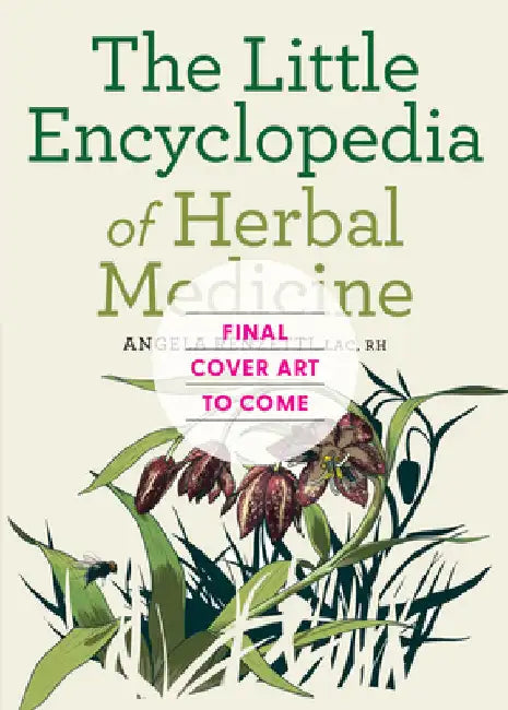 The Little Encyclopedia of Herbal Medicine: 100 Common Remedies for Everyday Ailments by Renzetti, Angela