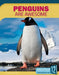 Penguins Are Awesome by Samantha S. Bell