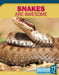 Snakes Are Awesome by Alicia Z. Klepeis