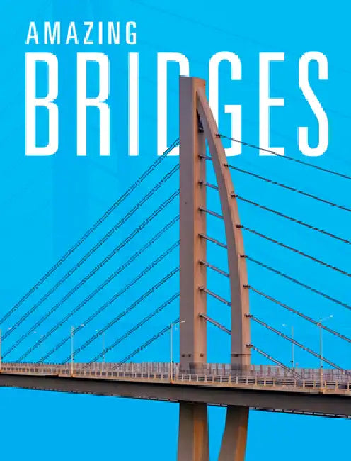 Amazing Bridges by Joanne Mattern