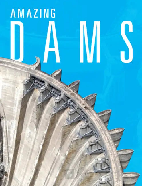 Amazing Dams by Joanne Mattern