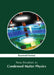 New Frontiers in Condensed Matter Physics by Raymond Stevens
