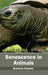 Senescence in Animals by Brandon Chesser