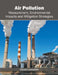 Air Pollution: Measurement, Environmental Impacts and Mitigation Strategies by Chuck Lancaster