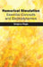 Numerical Simulation: Essential Concepts and Electrodynamics by Gregory Rago