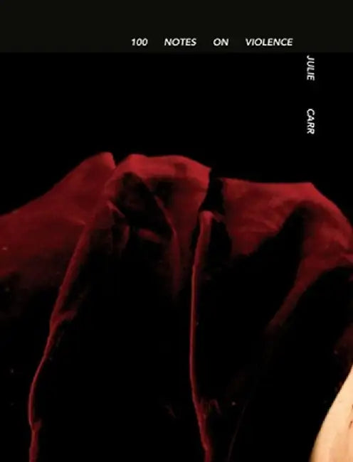 100 Notes on Violence by Julie Carr
