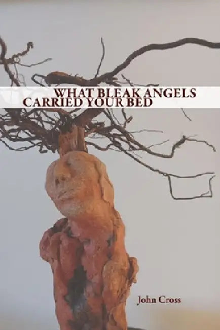 What Bleak Angels Carried Your Bed by John Cross