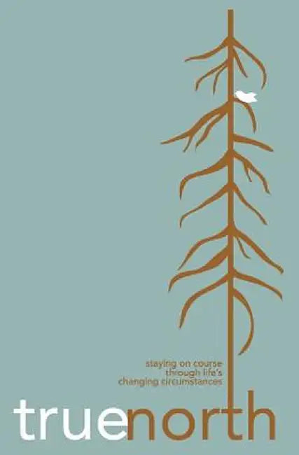 True North: Staying on Course Through Life's Changing Circumstances by Judi Braddy