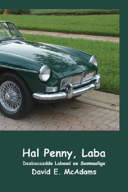 Hal Penny, Laba: Sida hal penny oo Maraykan ahi ugu noqday US$41,943.04 muddo 23 maalmood oo keliya ah by David E. McAdams