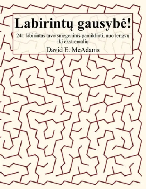 Labirintų gausybe!: 241 labirintas tavo smegenims pamiklinti, nuo lengvų iki ekstremalių by David E. McAdams