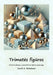 Trimates figūros: Vaizdine įzanga į geometrines figūras pasaulyje by David E. McAdams