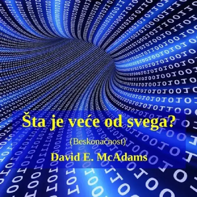 Sta je vece od svega?: Beskonačnost by David E. McAdams