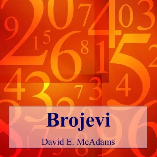 Brojevi by David E. McAdams
