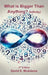 What is Bigger Than Anything?: Infinity by David E. Mcadams