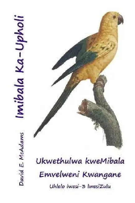 Imibala Ka-Upholi: Ukwethulwa kweMibala Emvelweni Kwangane by David E. McAdams