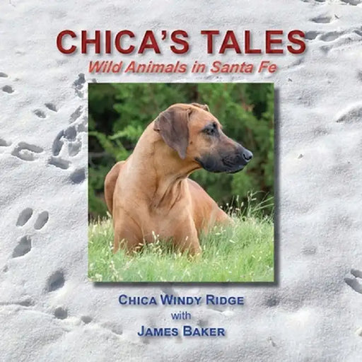 Chica's Tales, Wild Animals in Santa Fe by James Baker