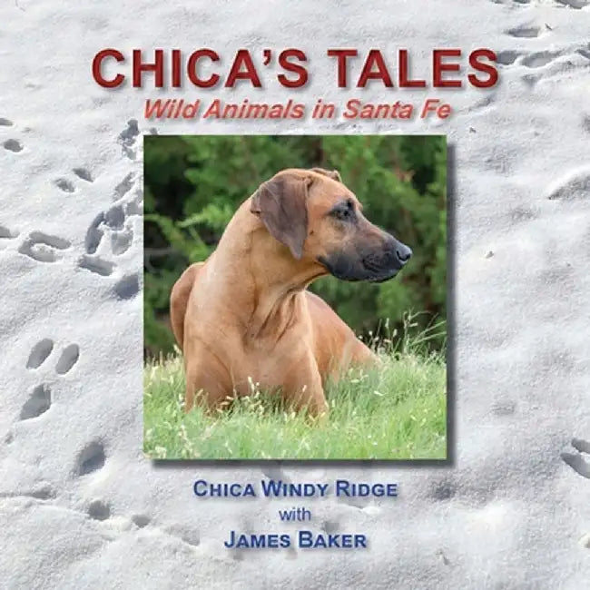 Chica's Tales, Wild Animals in Santa Fe by James Baker