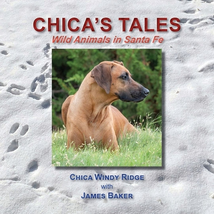 Chica's Tales, Wild Animals in Santa Fe by James Baker