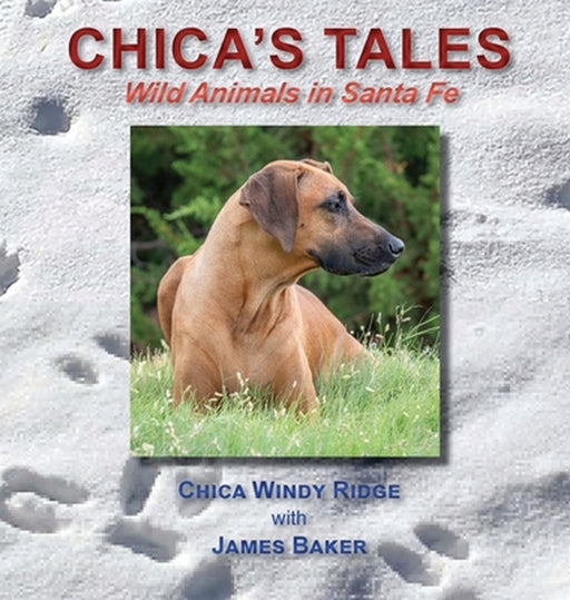Chica's Tales: Wild Animals in Santa Fe by James Baker