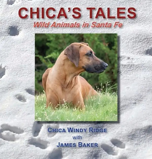 Chica's Tales: Wild Animals in Santa Fe by James Baker