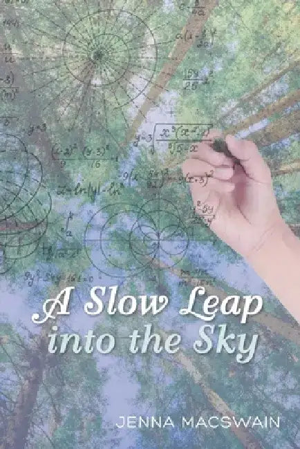 A Slow Leap into the Sky by Jenna Macswain