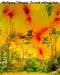 Wolfgang Tillmans: To Look Without Fear by Wolfgang Tillmans