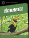 Great Hornbill by Susan H. Gray