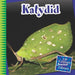 Katydid by Mike Shoulders