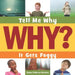 It Gets Foggy by Nancy Robinson Masters, Adam Weber