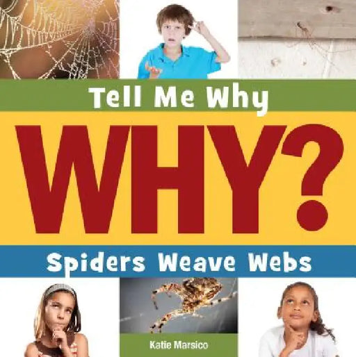 Spiders Weave Webs by Katie Marsico, Timothy Cap