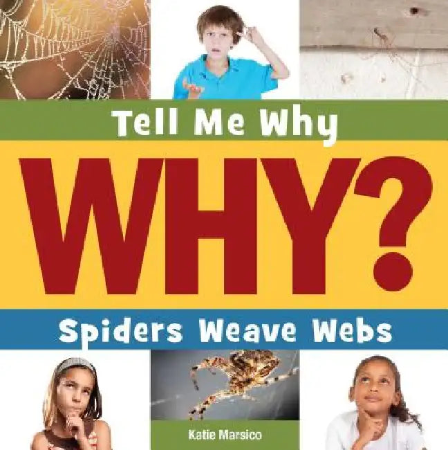 Spiders Weave Webs by Katie Marsico, Timothy Cap