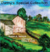 Danny's Special Collection by Susan a. Vernick