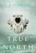 True North by L. E. Sterling