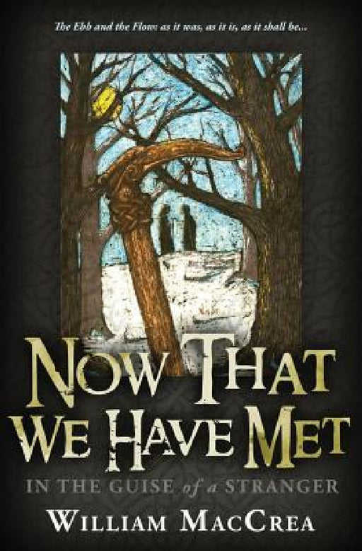 Now That We Have Met: In The Guise Of A Stranger by William Maccrea