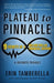 Plateau to Pinnacle: 9 Secrets of a Million Dollar Financial Advisor by Erin Tamberella, Rick Wright
