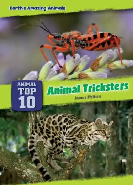 Animal Tricksters by Joanne Mattern